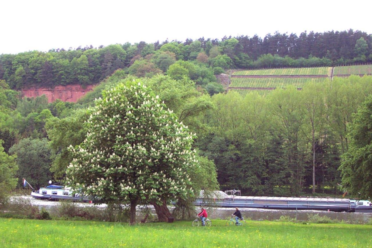 Ferienwohnung Auf Schaefers Spuren ビュルクシュタット エクステリア 写真